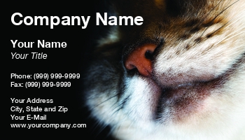 Animals | Domestic | Featured Designs |--| At87989 | Cats | Closeup | Cute | Design | File | High | Image | Kitty | Megapixels | Note | Pet Funeral | Pets | Represent | Resolution | Siamese Cat | Sinisa Botas | Sleep | Used