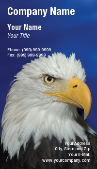 Americas | Featured Designs | Military | Patriotic |--| American | Americana | At88178 | Bald Eagle | Bird | Eagle | Edward White | National Bird | Raptor | United States