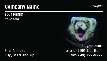 Featured Designs |--| At88181 | Edward White | Ferret | Pet | Pet Store | Pet Supplies