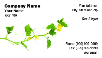 Beauty | Featured Designs | Garden | Health | People | Trades |--| At88767 | Blossoms | Care | Cucumber | Cucumber Plant | Cucumber Vine | Dew | Drops | Gardening | Mona Makela | Natural | Spa | Vine