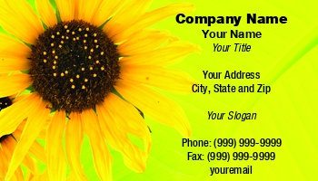 Beauty | Featured Designs | Nature |--| At88775 | Background | Beautiful | Cheerfulness | Concepts | Design | Femininity | Flower | Green | Healthy | Leaf | Lifestyle | Macro Photography | Mona Makela | Outlook | Positive | Refreshing | Related | Spa | Sunflower | Wildflower
