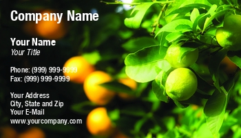 Featured Designs | Fruit | Trades |--| Agricultural | At91508 | Citrus | Design | File | Harvest | High | Image | Lemons | Megapixels | Note | Oranges | Orchardist | Orchards | Represent | Resolution | Ripe | Sinisa Botas | Themes | Used