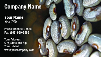 Featured Designs | Food | Hospitality |--| Agriculture | At90260 | Bean | Beans | Design | File | Food Products | High | Image | Note | Represent | Resolution | Sinisa Botas | Themes | Used | Water