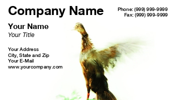 Animals | Featured Designs | Nature |--| #039 | Animal | At92871 | Bird | Birds | Design | Donna Beeler | Duck | Duck Hunting | Enviromentalist | Environment | Flapping | Impact | Importance | Motion | Possible | Showing | Shows | Wings