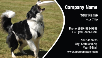 Featured Designs |--| #039 | Appears | At93205 | Border | Breed | Catching | Collie | Contest | Dash | David Gaudin | Dog | Dog Trainer | Doggie | Frisbee | Important | Instinct | Oregon | Owner | Plays | Portland | Quot | Role | Talented | Trained | Trainer