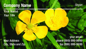 Featured Designs | Floral | Nature |--| At94126 | Buttercups | Flowers | Stu Atton | Wildflowers