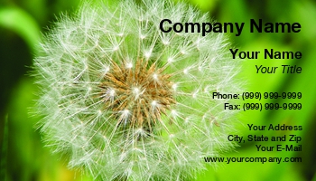 Featured Designs |--| At94127 | Dandelion | Stu Atton | Weed | Weeds