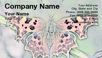 Featured Designs |--| At94360 | Butterfly | Stu Atton