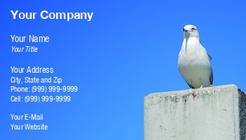 Featured Designs |--| At95310 | Bird | Brian Posey