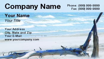 Beach | Featured Designs | Nature | Ocean |--| At95322 | Brian Posey | Coming | Driftwood | Florida | Island | Jacksonville | Jacksonville Printing | Laying | Photograph | Sand | Sea | Shot | Surf | Talbot | Waves