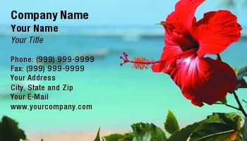 Beach | Featured Designs | Floral | Nature | Ocean | Professional | Travel |--| At95471 | Background | Blurred | Business | Flower | Sea | Tropical | Used | Youssouf Cader