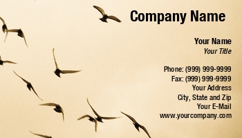 Featured Designs |--| Alex Nicola | Animal | At95658 | Bird | Conservation | Environmental | Flying | Great | Hermannstadt | Image | Lovers | Pet | Picture | Pigeons | Protection | Sepia | Shops | Sky | Taken