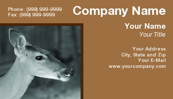 Featured Designs |--| At95742 | Black | Brian Posey | Deer | Doe | Female | Female Deer | Hunting | Hunting Guide | Portrait | Rocky Mountain Wildlife | Tailed | White | White Tail Deer | Whitetail Deer