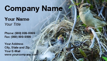 Featured Designs |--| Adult | At97013 | Bird | Birding | Breeding | Broods | Emilia Kun | Feather | Female | Finch | Habitat | House | Nest | Nestling | Plants | Season | Vegetation | Watching