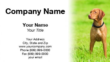Featured Designs |--| At97319 | Dave Veit | Dog | Dog Breeder | Dog Groomer | Dog Trainer | Dog Training | Dog Walker | Dog Walking Service | Viszla