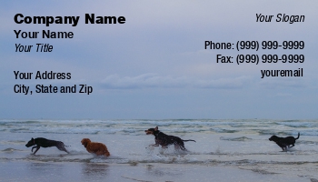 Beach | Featured Designs | Nature |--| #039 | At97915 | Black | Breed | Card | Dane | Dave Veit | Different | Disappeared | Dog | Dog Bathing | Dog Groomer | Dogs | Golden | Great | Groomer | Lab | Light | Mix | Perfect | Photo | Retriever | Sitter | Walker | Wolfhound | Wonderful