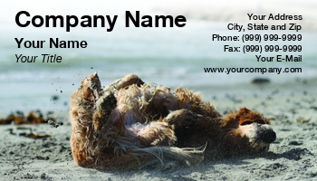 Featured Designs |--| At97917 | Dave Veit | Dog | Dog Groomer | Golden Retriever