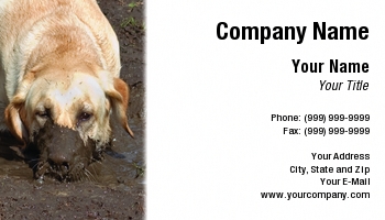 Featured Designs |--| At97918 | Dave Veit | Dog | Dog Bath | Dog Groomer | Dog Wash | Groomer | Implies | Labrador | Labrador Retriever | Muddy | Park | Photographed | Playing | Retriever | Suitable | Template | Trainer | White