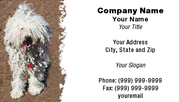 Featured Designs |--| #039 | Amateur! | Area | At97922 | Background | Breed | Business | Card | Challenging | Dave Veit | Dirt | Dog | Dog Groomer | Dog Kennel | Dog Park | Dog Sitter | Dog Walker | Groom | Groomer | Park | Perfect | Photographed | Puli | Shaggy Dog | Shows | Spilled | Text | Yorkshire Terrier