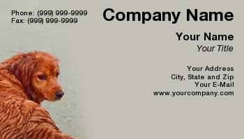 Featured Designs |--| #039 | Application | At97924 | Business | Contact | Dave Veit | Details | Dog | Dog Breeder | Dog Groomer | Fondly | Gaze! | Golden | Golden Retriever | Implies | Layout | Loving | Owner | Photographed | Retriever | Wet