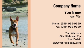 Beach | Featured Designs | Nature |--| #039 | Amp | At97926 | Background | Card | Dave Veit | Designed | Dog | Dog Bathing | Dog Groomer | Dog Photography | Dog Running | Dog Trainer | Dog Walking Service | Fur | Groomers | Match | Midday | Photographed | Picked | Sitters | Template | Terrier | Think | Walkers