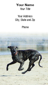 Featured Designs |--| At97940 | Dave Veit | Dog | Dog Handler | Dog Trainee | Dog Trainer | Dog Training | Greyhound | Pet