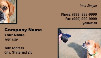 Featured Designs | Photographer | Professional |--| #039 | At97941 | Bella | Card | Dave Veit | Designed | Dog | Dog Photographer | Enjoyed | Photo | Profession | Puggle | Session! | Special
