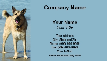 Beach | Featured Designs | Nature | Security | Trades |--| At97964 | Bath | Dave Veit | Dog | Dog Breeder | Dog Groomer | Dog Trainer | Fetch | Game | German | German Shepherd | Groomer | Guard Dog | Implies | Needs | Openly | Photographed | Shepherd | Smiling | Walker | Watchdog