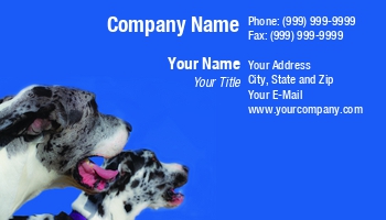 Featured Designs |--| At97992 | Blue | Contact | Danes | Dave Veit | Details | Dog | Dog Groomer | Dog Sitting | Dog Trainer | Dog Walker | Gaze | Great | Great Dane | Great Danes | Groomer | Photographed | Points | Sky | Summer | Template | Trainer | Walker