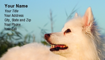Featured Designs |--| #039 | American | American Eskimo Dog | At98002 | Benefit | Contact | Dave Veit | Details | Dog | Dog Breeder | Dog Walker | Eskimo | Esky | Groomers | Quot | Right | Template | Using | Walkers