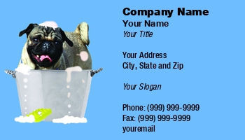 Featured Designs |--| #039 | At98316 | Bath | Bather | Business | Card! | Covered | Dave Veit | Dog | Dog Bath | Dog Bathing | Dog Breeder | Dog Groomer | Dog Wash | Getting | Great | Groomer | Happy | Image | Pug | Soap | Sponge | Suds | Taking