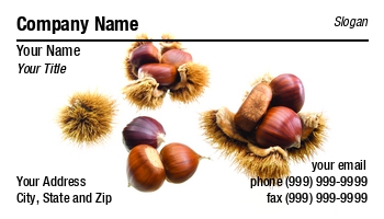 Featured Designs | Food | Hospitality |--| At98398 | Autumn | Background | Chestnuts | Design | Dried Fruit | Fall | File | High | Image | Megapixels | Note | Nuts | Resolution | Sinisa Botas | Sweet | Used | Usual | White